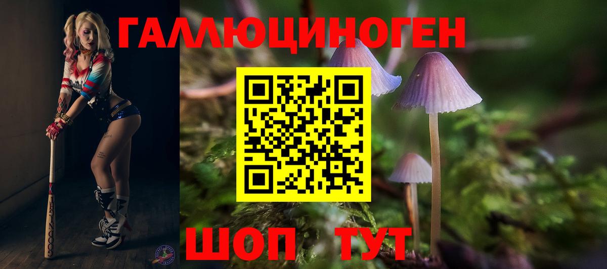 Псилоцибиновые грибы мицелий Трёхгорный