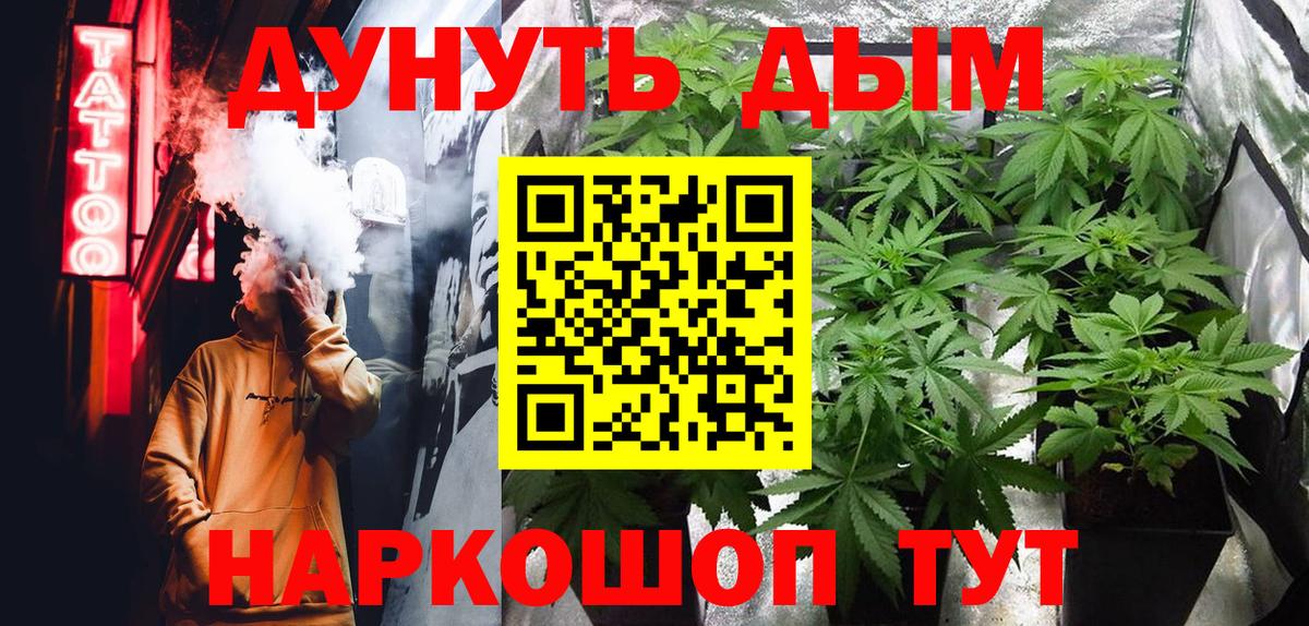 Канабис конопля  Вход с VPN  Каннабис Amnesia  Каннабис Ganja  Трёхгорный  Марихуана сатива 